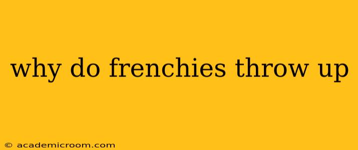 why do frenchies throw up