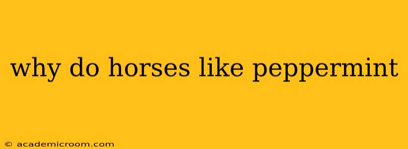 why do horses like peppermint