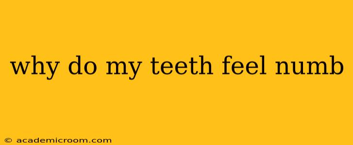 why do my teeth feel numb