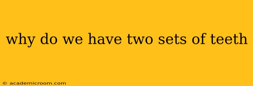 why do we have two sets of teeth