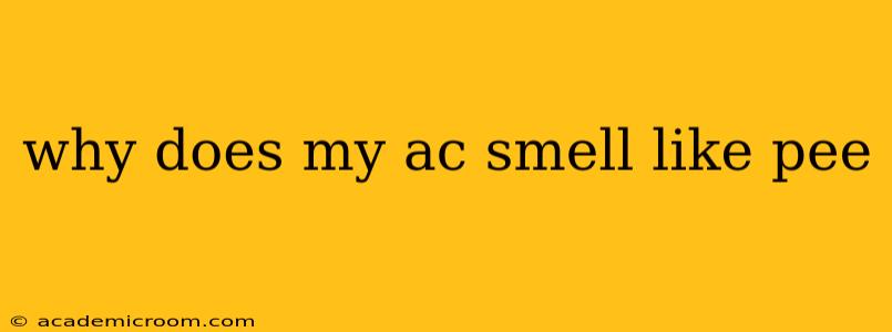 why does my ac smell like pee