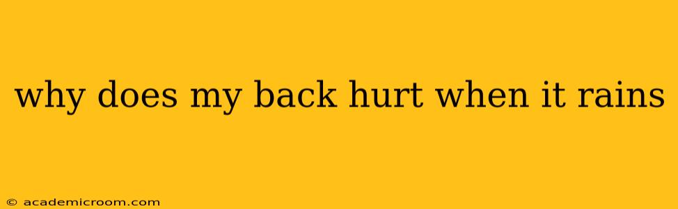 why does my back hurt when it rains