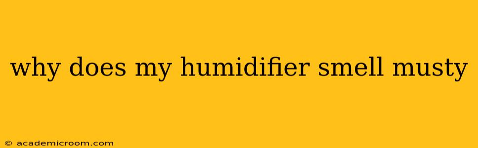 why does my humidifier smell musty
