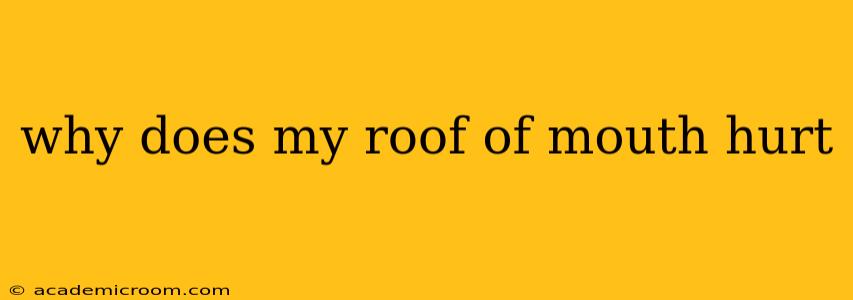 why does my roof of mouth hurt