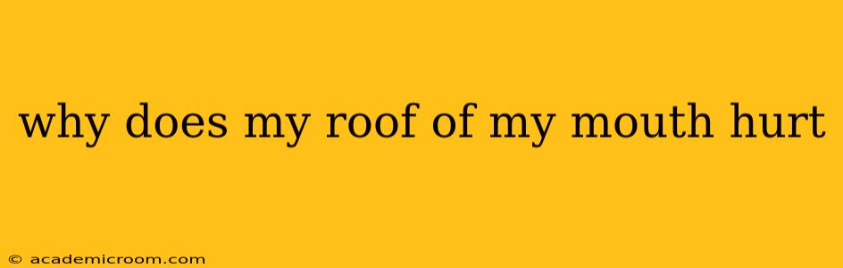 why does my roof of my mouth hurt