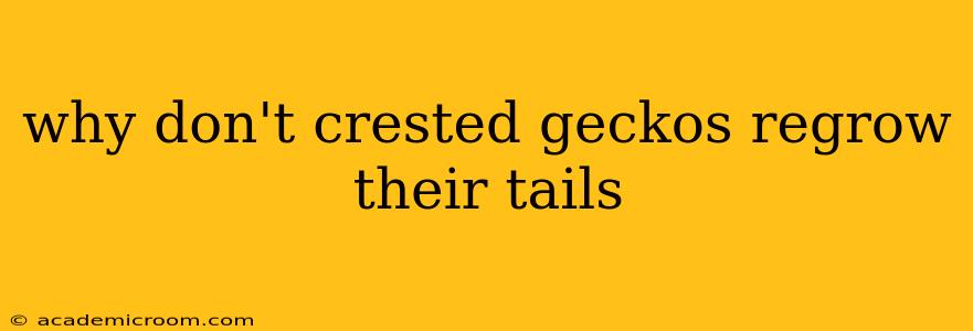 why don't crested geckos regrow their tails