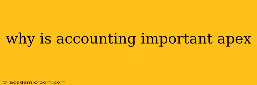 why is accounting important apex
