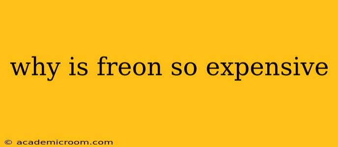 why is freon so expensive
