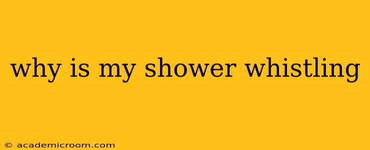 why is my shower whistling