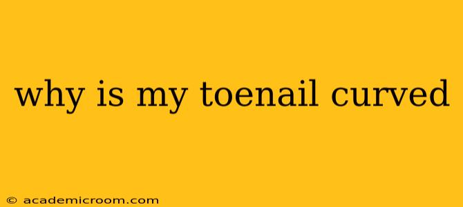 why is my toenail curved