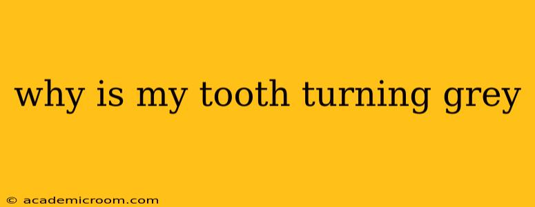 why is my tooth turning grey