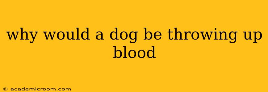 why would a dog be throwing up blood