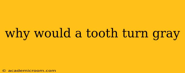 why would a tooth turn gray