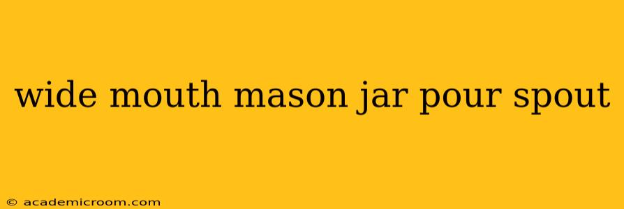 wide mouth mason jar pour spout