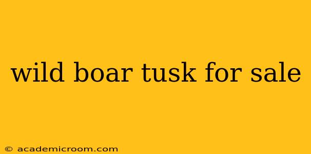 wild boar tusk for sale