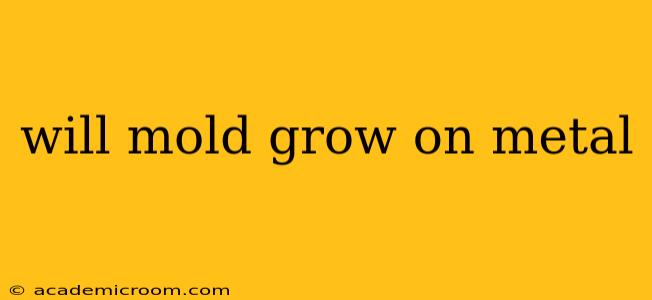 will mold grow on metal