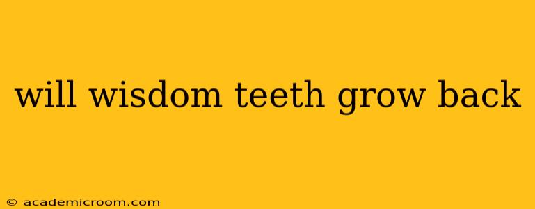 will wisdom teeth grow back