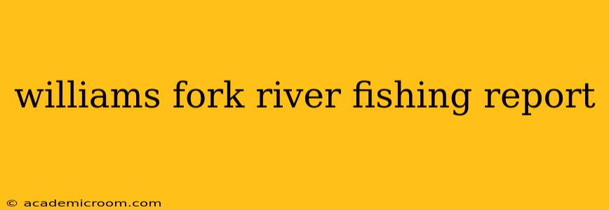 williams fork river fishing report