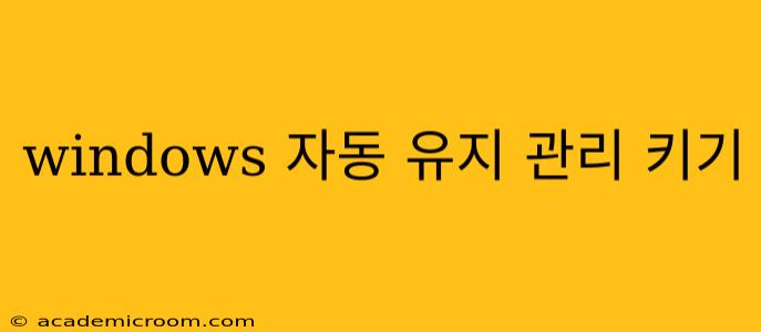 windows 자동 유지 관리 키기