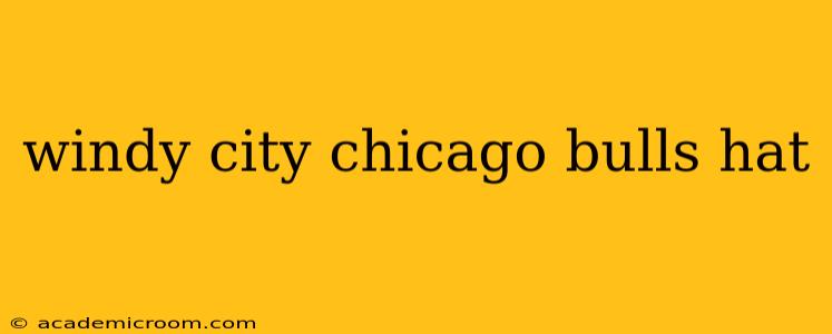 windy city chicago bulls hat