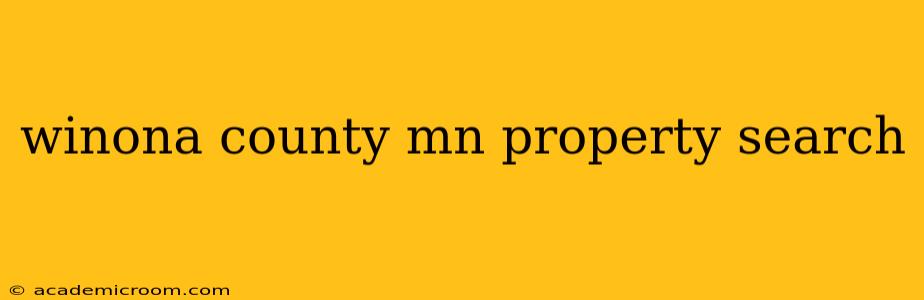 winona county mn property search