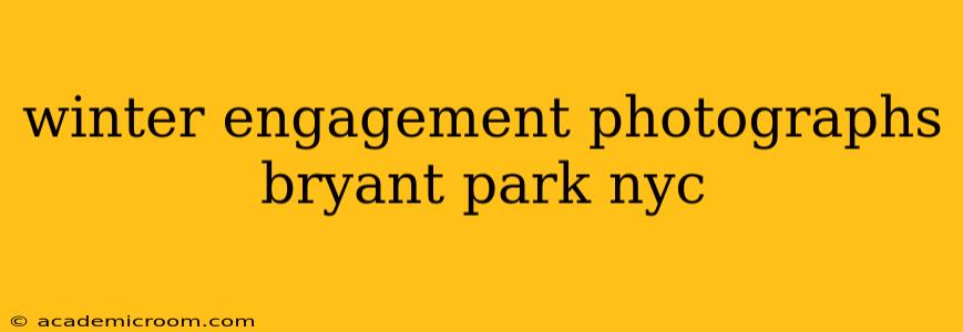 winter engagement photographs bryant park nyc