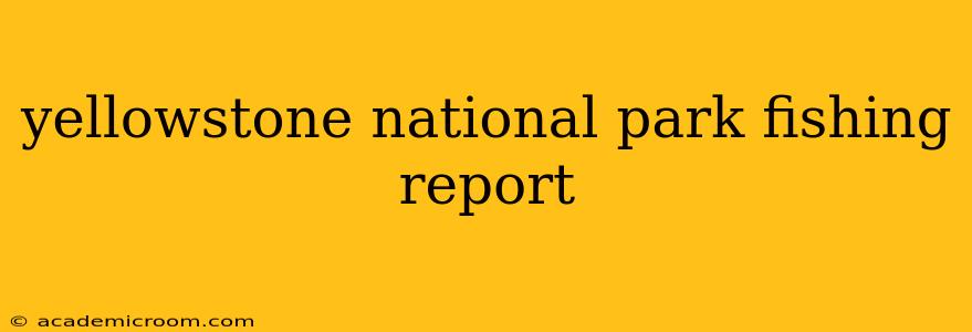 yellowstone national park fishing report