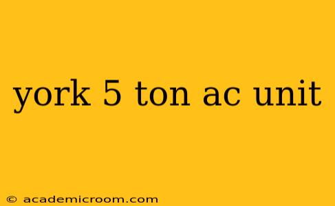 york 5 ton ac unit