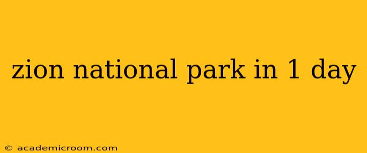 zion national park in 1 day